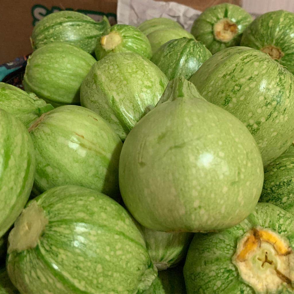 Calabacita bola