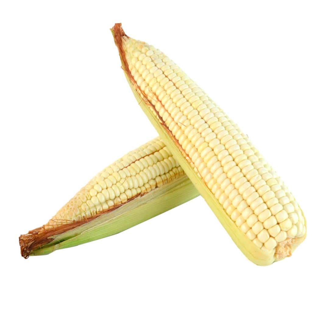 Elote