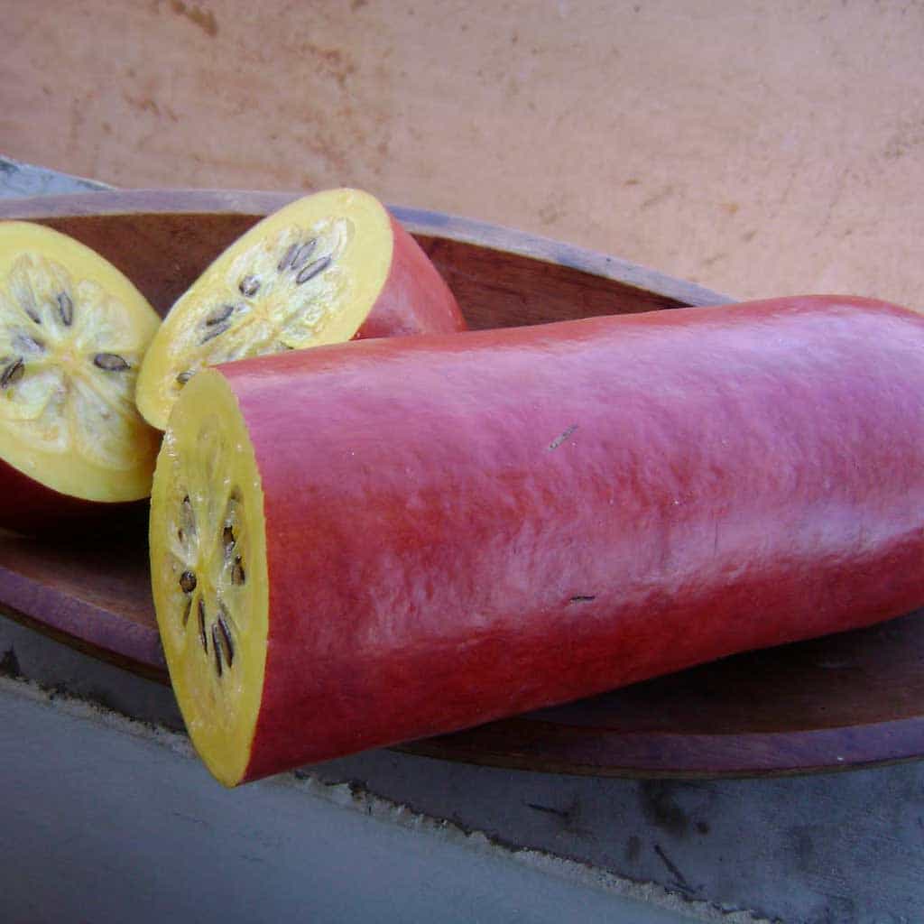 Calabaza Melón