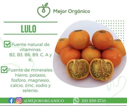 Nombre del producto