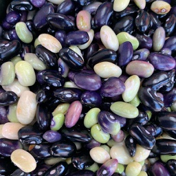 Nombre del producto